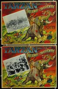 c340 UNKNOWN TARZAN MOVIE 2 Mexican movie lobby card '40s help identify!
