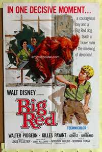 h115 BIG RED one-sheet movie poster '62 Walt Disney, Walter Pigeon, Irish Setter dog!