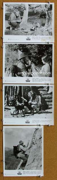 k392 LIFE & TIMES OF GRIZZLY ADAMS 4 8x10 movie stills '74 Haggerty