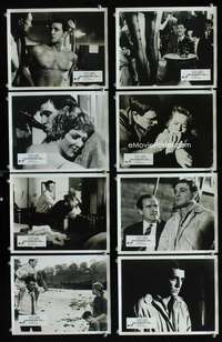 k113 THIS SPORTING LIFE 8 English Front of House movie lobby cards '63 Harris