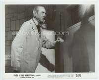 n077 BRIDE OF THE MONSTER 8x10 movie still '56 Ed Wood, Bela Lugosi