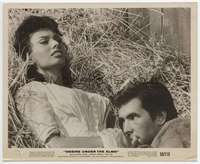 n135 DESIRE UNDER THE ELMS 8x10 movie still '58 Sophia Loren, Perkins