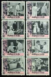 v109 CURSE OF THE FLY 8 movie lobby cards '65 Brian Donlevy, sci-fi!