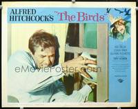 w108 BIRDS movie lobby card #6 '63 best image, Rod Taylor close up bird attack!