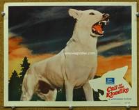 w159 CALL OF THE KLONDIKE movie lobby card #4 '50 best close up of Chinook the Wonder Dog!