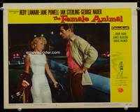 w293 FEMALE ANIMAL movie lobby card #3 '58 Jane Powell, George Nader