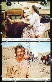y568 LITTLE BIG MAN 2 color 8x10 movie stills '71 Dustin Hoffman