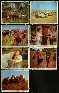 y018 CIMARRON 7 English Front of House movie lobby cards '60 Mann, Glenn Ford