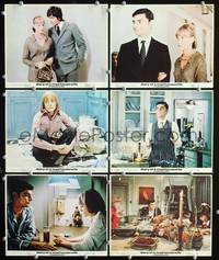 y336 DIARY OF A MAD HOUSEWIFE 6 color 8x10 movie stills '70 Langella