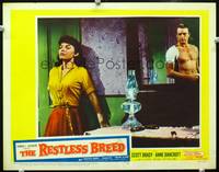 z649 RESTLESS BREED movie lobby card #3 '57 Scott Brady & Anne Bancroft 2-shot!