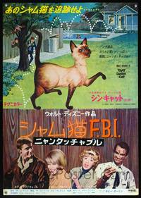 a285 THAT DARN CAT Japanese movie poster '65 Hayley Mills, Disney!