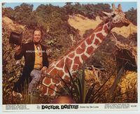 d107 DOCTOR DOLITTLE color 8x10 movie still R69 great close up of Rex Harrison riding giraffe!