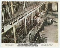 d207 MAN CALLED SLEDGE color 8x10 still #7 '70 cool image of inmates in maximum security prison!