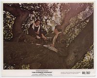 d324 STERILE CUCKOO color 8x10 movie still '69 John Nichols & Liza Minnelli up in a tree!