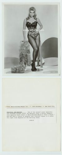 1b217 ONCE A THIEF 8x10 movie still '65 sexiest full-length image of Ann-Margret in skimpy costume!