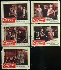 1d464 CAGED 5 movie lobby cards '50 bad girl Eleanor Parker in prison!
