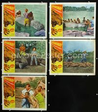 1d581 SKABENGA 5 movie lobby cards '55 great African jungle wild animal images!