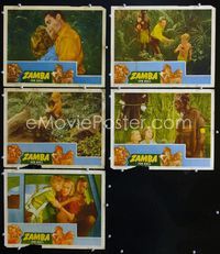1d619 ZAMBA 5 movie lobby cards '49 Jon Hall & June Vincent search for giant African ape!