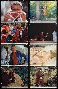 1g233 DEADFALL 8 color 11x14 movie stills '68 Michael Caine, Giovanna Ralli, Bryan Forbes