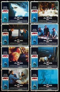 1g411 JAWS 8 movie lobby cards '75 Roy Scheider, Steven Spielberg classic man-eating shark!