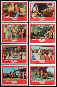 1g429 LION 8 movie lobby cards '63 William Holden, Trevor Howard, Capucine