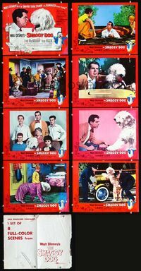 1g565 SHAGGY DOG 8 movie lobby cards '59 Disney, Fred MacMurray, sheep dog fantasy!