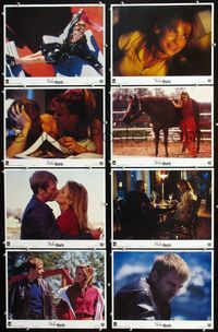1g676 TWO IF BY SEA 8 int'l movie lobby cards '96 Sandra Bullock, Denis Leary, Stolen Hearts!