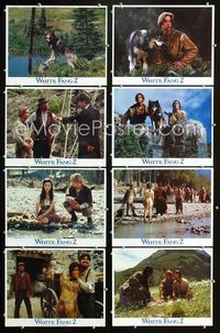 1g718 WHITE FANG 2 8 movie lobby cards '94 Disney, Scott Bairstow, Myth of the White Wolf!