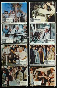 1k402 SSSSSSS 8 Mexican movie lobby cards '73 Strother Martin, cool cobra snake attack images!