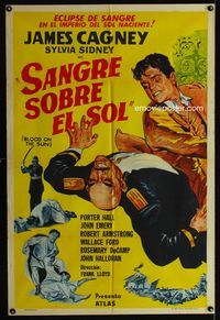1m059 BLOOD ON THE SUN Argentinean movie poster R50s great artwork of James Cagney punching bad guy!