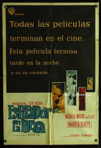 1m182 SPLENDOR IN THE GRASS Argentinean movie poster '61 Natalie Wood, Warren Beatty, Elia Kazan
