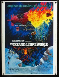 1n143 ISLAND AT THE TOP OF THE WORLD Thirty by Forty '74 Disney's adventure beyond imagination!