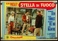 1o111 FLAMING STAR Italian photobusta poster '60 cowboy Elvis Presley holds gun by Barbara Eden!