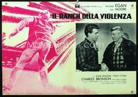 1o146 THIS RUGGED LAND Italian photobusta '62 super young Ryan O'Neal shown in his first movie!