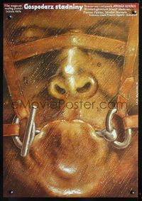 1o471 A MENESGAZDA Polish '78 disturbing super close up art of bound & gagged man by Lech Majewski!