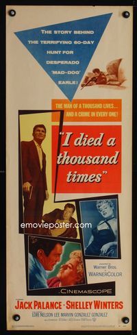 1q335 I DIED A THOUSAND TIMES insert movie poster '55 Jack Palance, sexy Shelley Winters, Lee Marvin