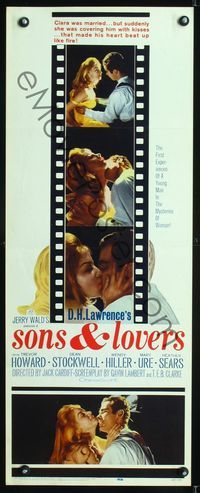 1q545 SONS & LOVERS insert movie poster '60 from D.H. Lawrence's novel, Trevor Howard, Mary Ure