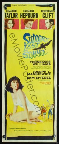1q564 SUDDENLY LAST SUMMER insert movie poster '60 artwork of sexy Elizabeth Taylor in swimsuit!