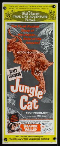 1q620 JUNGLE CAT/BEAVER VALLEY insert '64 Jungle Cat & Beaver Valley, cool art!