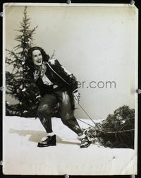 1t116 SING FOR YOUR SUPPER deluxe candid 10.75x14 still '41 Jinx Falkenburg dragging Christmas tree!