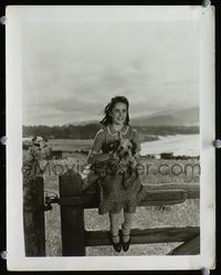 1t054 ELIZABETH TAYLOR deluxe 9.5x12 '40s great super young portrait holding puppy sitting on fence!