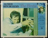 1w084 BIRDS LC #6 '63 Alfred Hitchcock, close up of Rod Taylor fighting off attack through window!