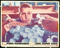 1w103 COOL HAND LUKE lobby card #8 '67 best image, close up of Paul Newman preparing to eat 50 eggs!