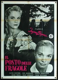 2a791 WILD STRAWBERRIES Italian one-panel '57 Ingmar Bergman's Smultronstallet, cool image of cast!
