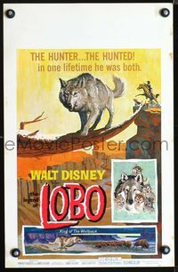 2a132 LEGEND OF LOBO WC '63 Walt Disney, King of the Wolfpack, cool artwork of wolf being hunted!