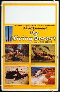 2a136 LIVING DESERT WC '53 first feature-length Disney True-Life adventure, snakes & tortoises!
