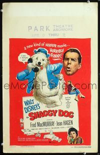 2a181 SHAGGY DOG window card movie poster '59 Disney, Fred MacMurray, sheep dog fantasy!