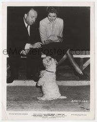 2d026 SPELLBOUND candid 8x10 '45 wonderful image of Alfred Hitchcock & Ingrid Bergman playing w/dog!