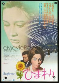 2g208 SUNFLOWER Japanese '70 Vittorio De Sica's I Girasoli, Sophia Loren, Marcello Mastroianni