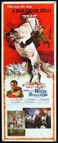2h327 MIRACLE OF THE WHITE STALLIONS insert poster '63 cool art of soldier on Lipizzaner stallion!